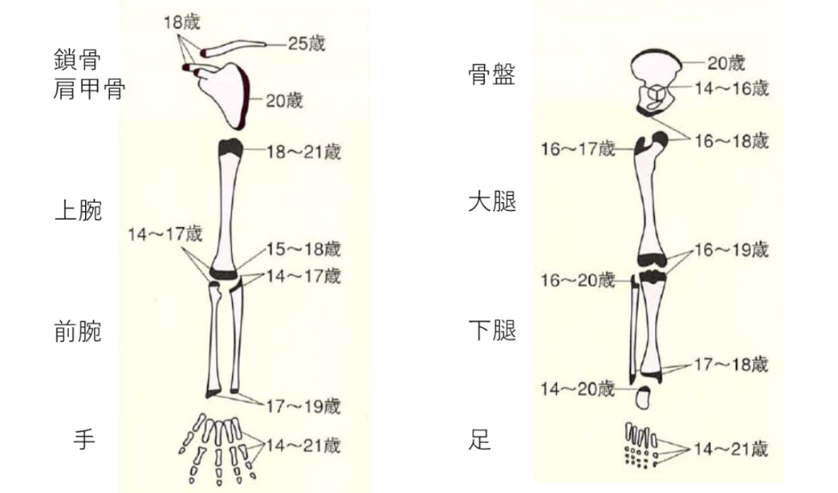 図1 上肢と下肢の成長軟骨板の閉鎖時期