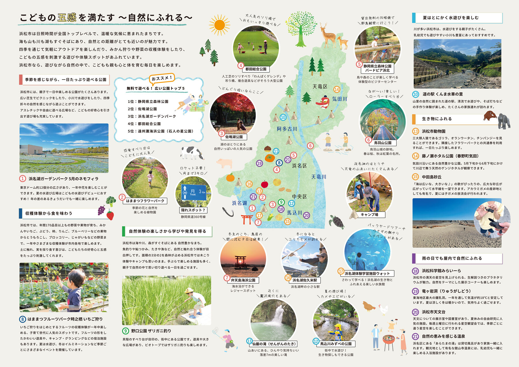 浜松市子育て情報PRリーフレット