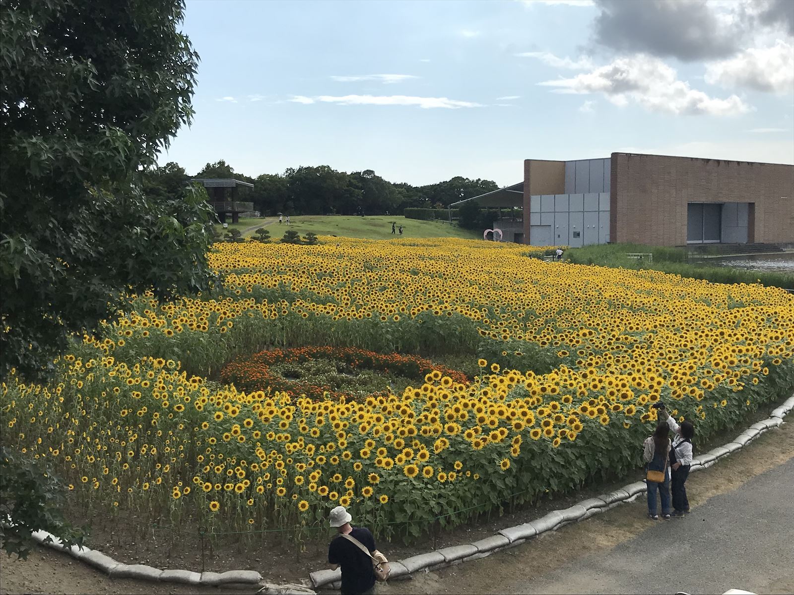 花ひろばへ