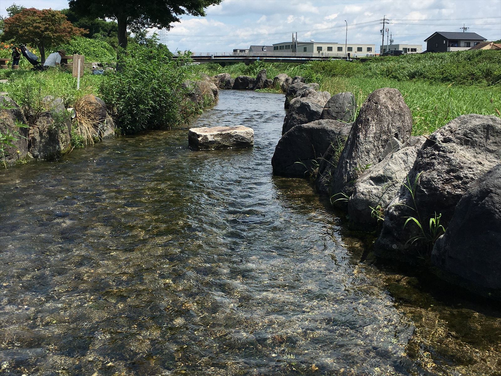 きれいな水