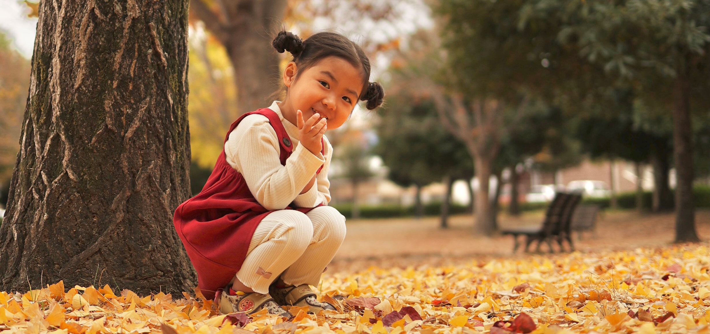 フォトコン2022秋冬 最優秀賞作品 #美薗中央公園