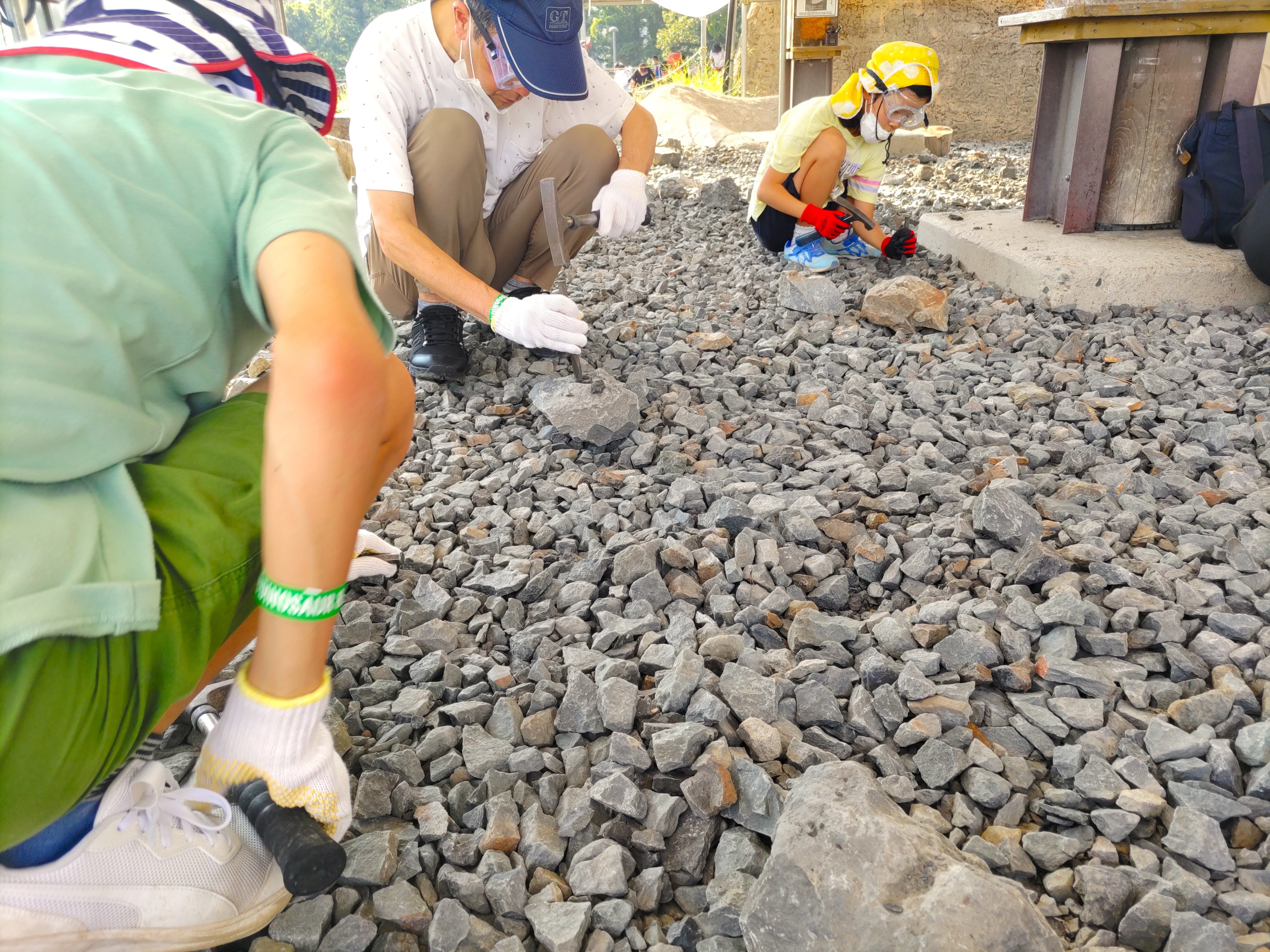 化石発掘