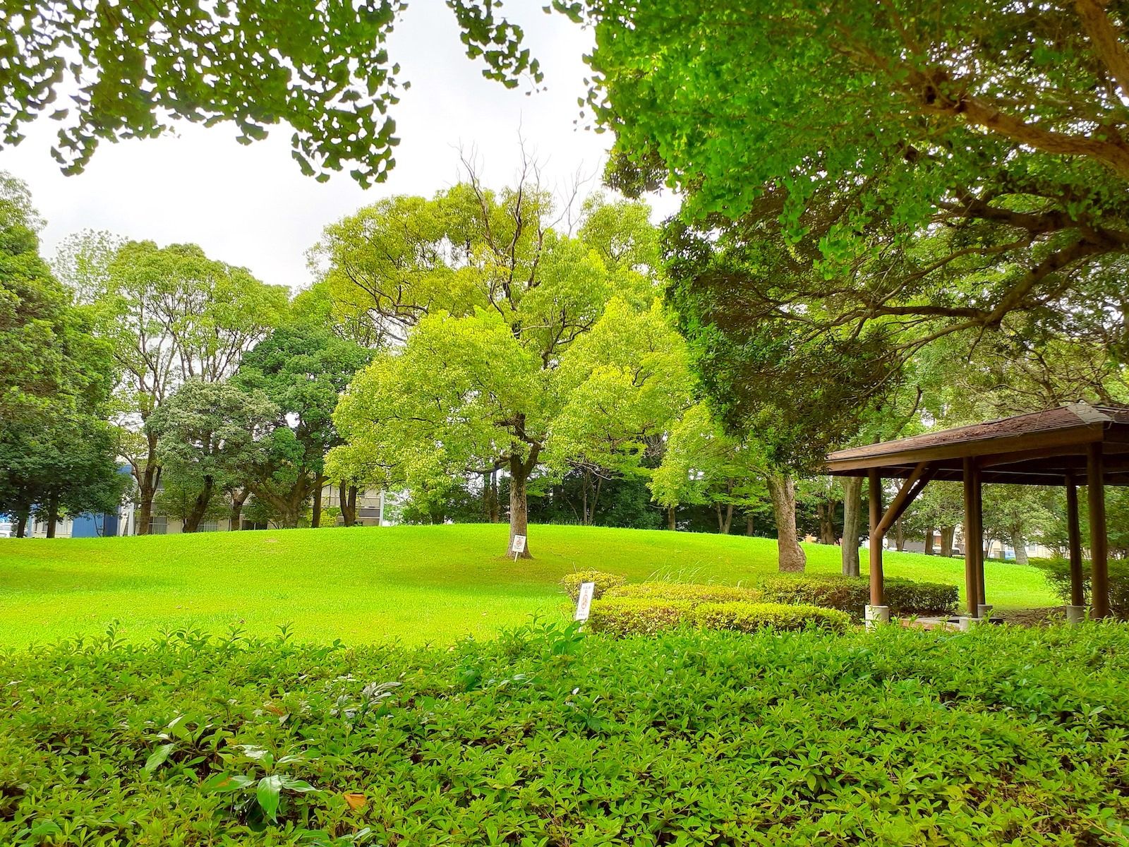 緑いっぱいの公園