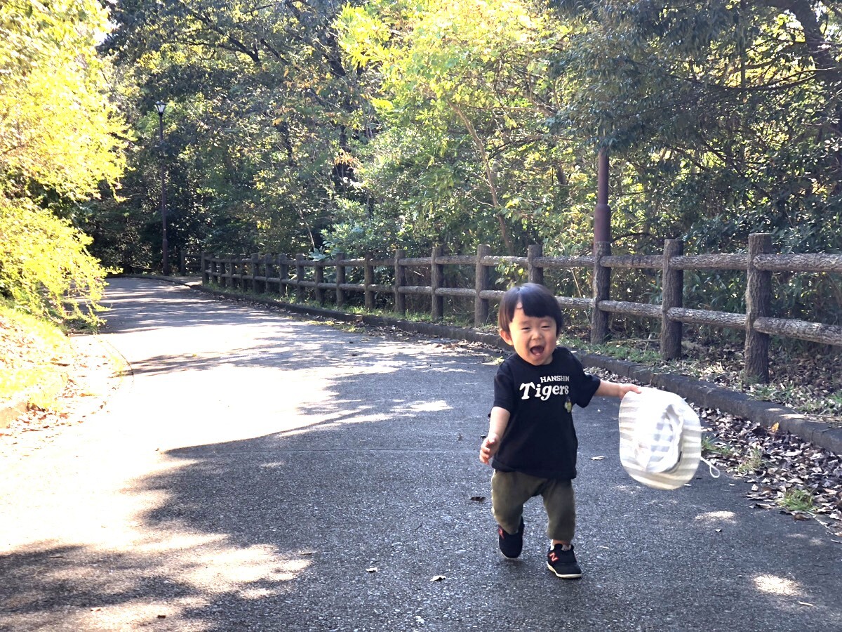 小道をお散歩