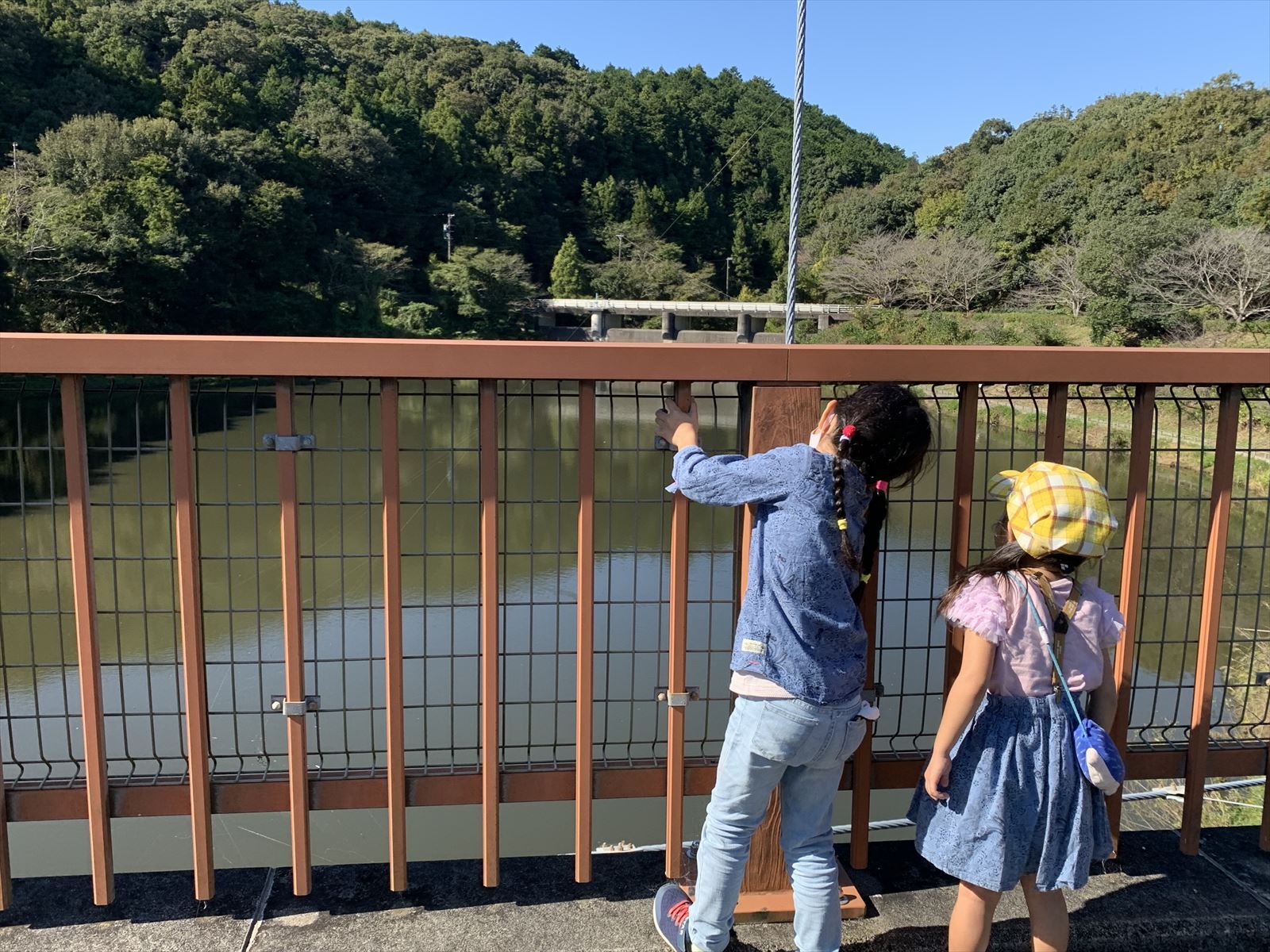 緑とつり橋