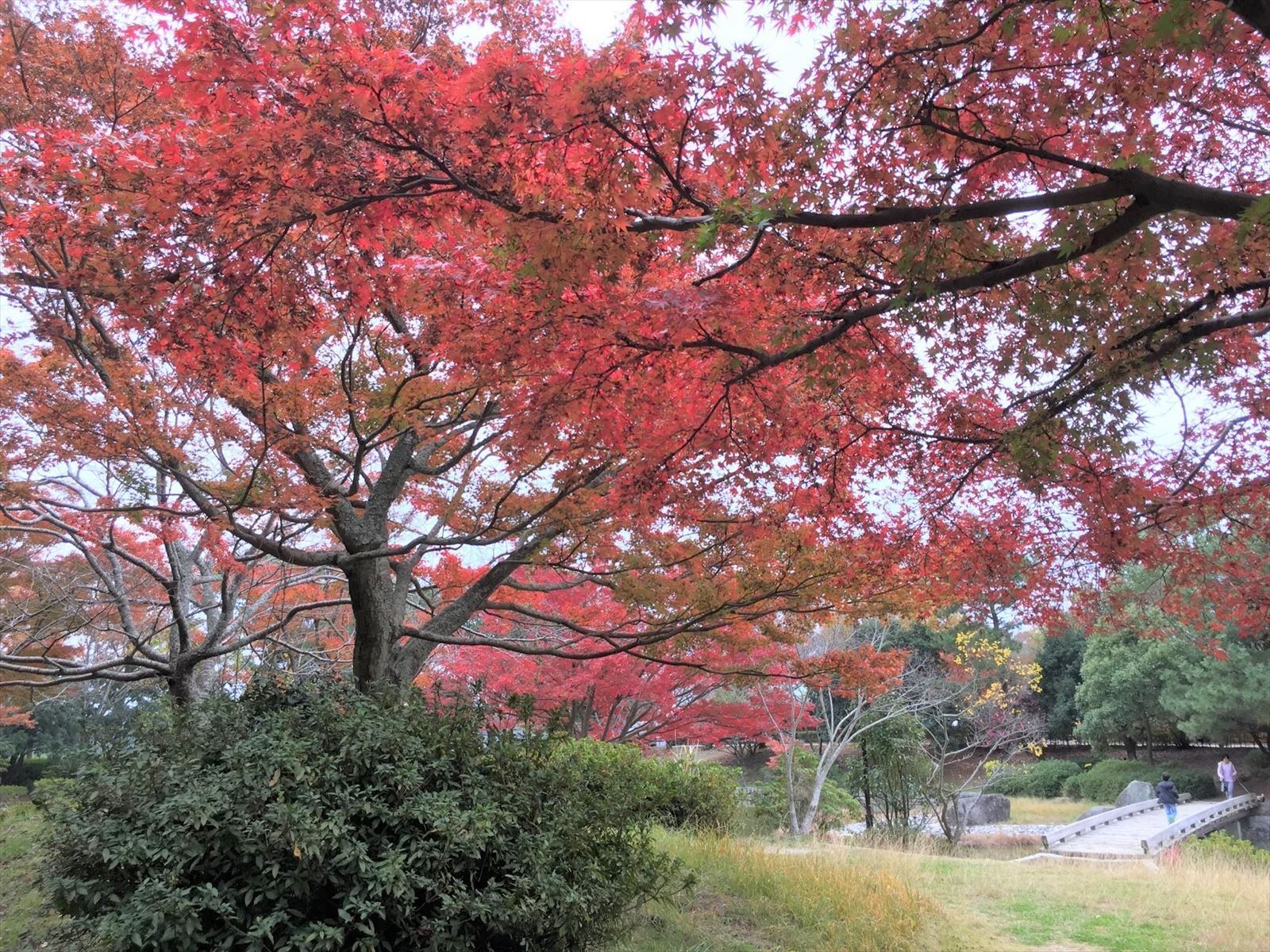 佐鳴湖公園