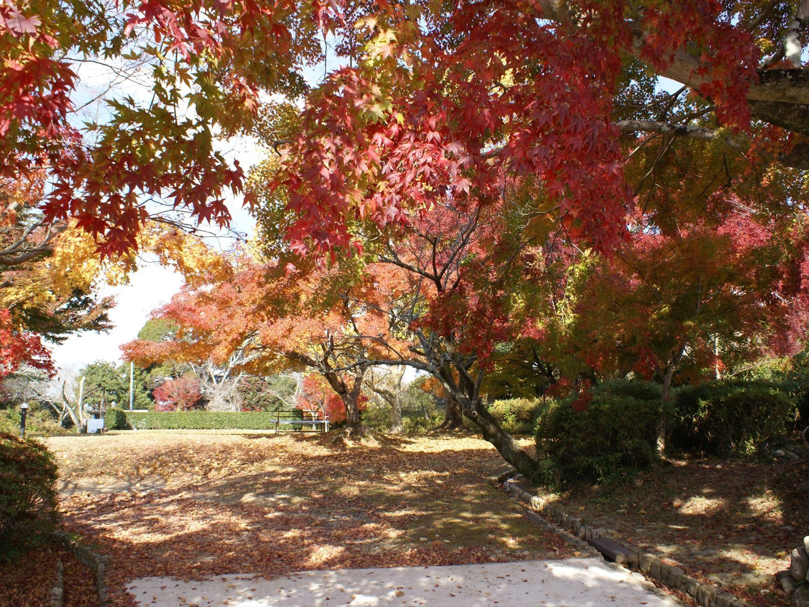 鳥羽山公園