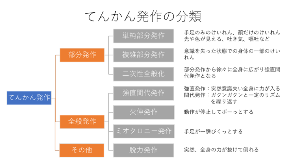 図3てんかん発作の分類