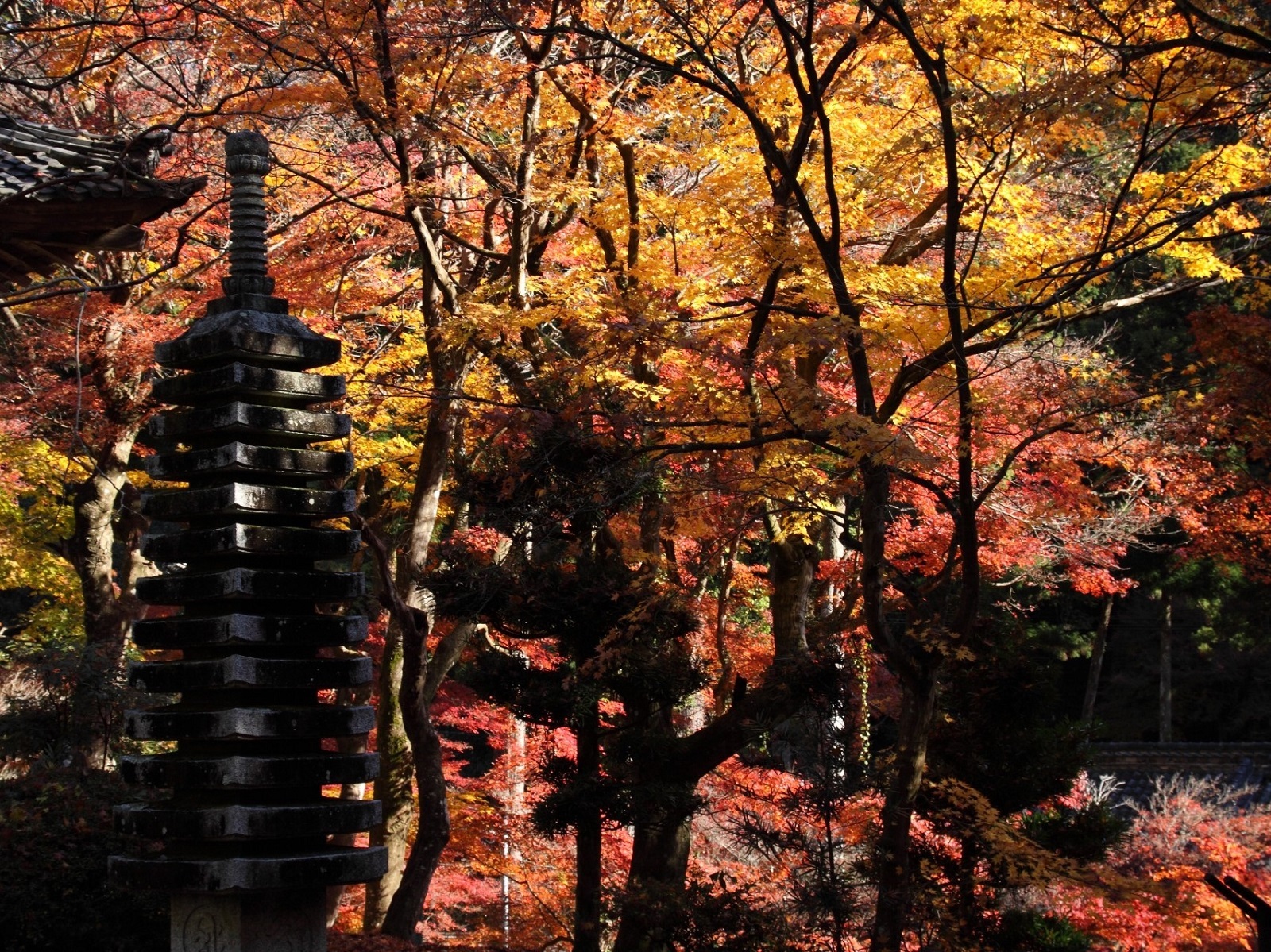 大洞院