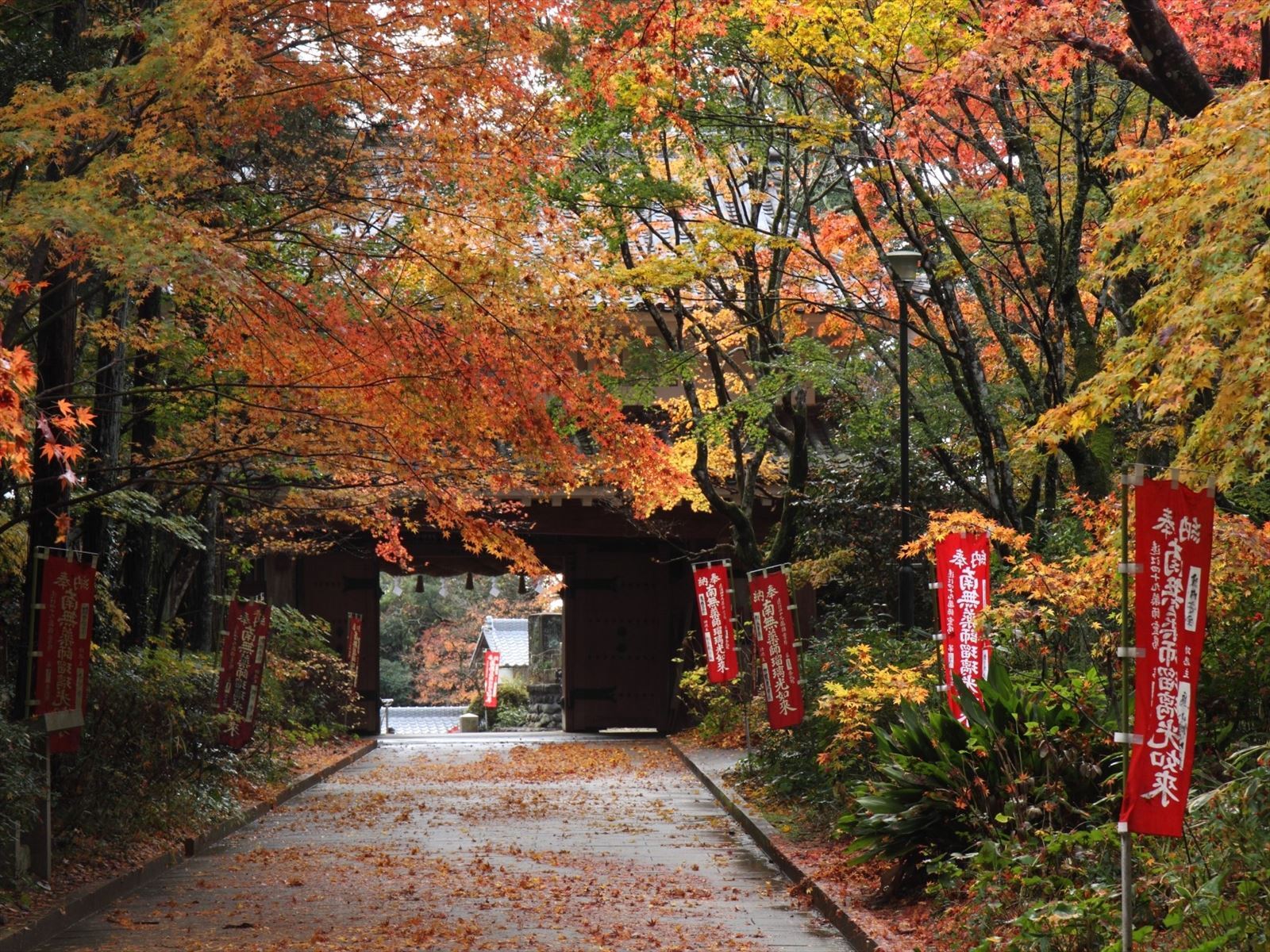 油山寺