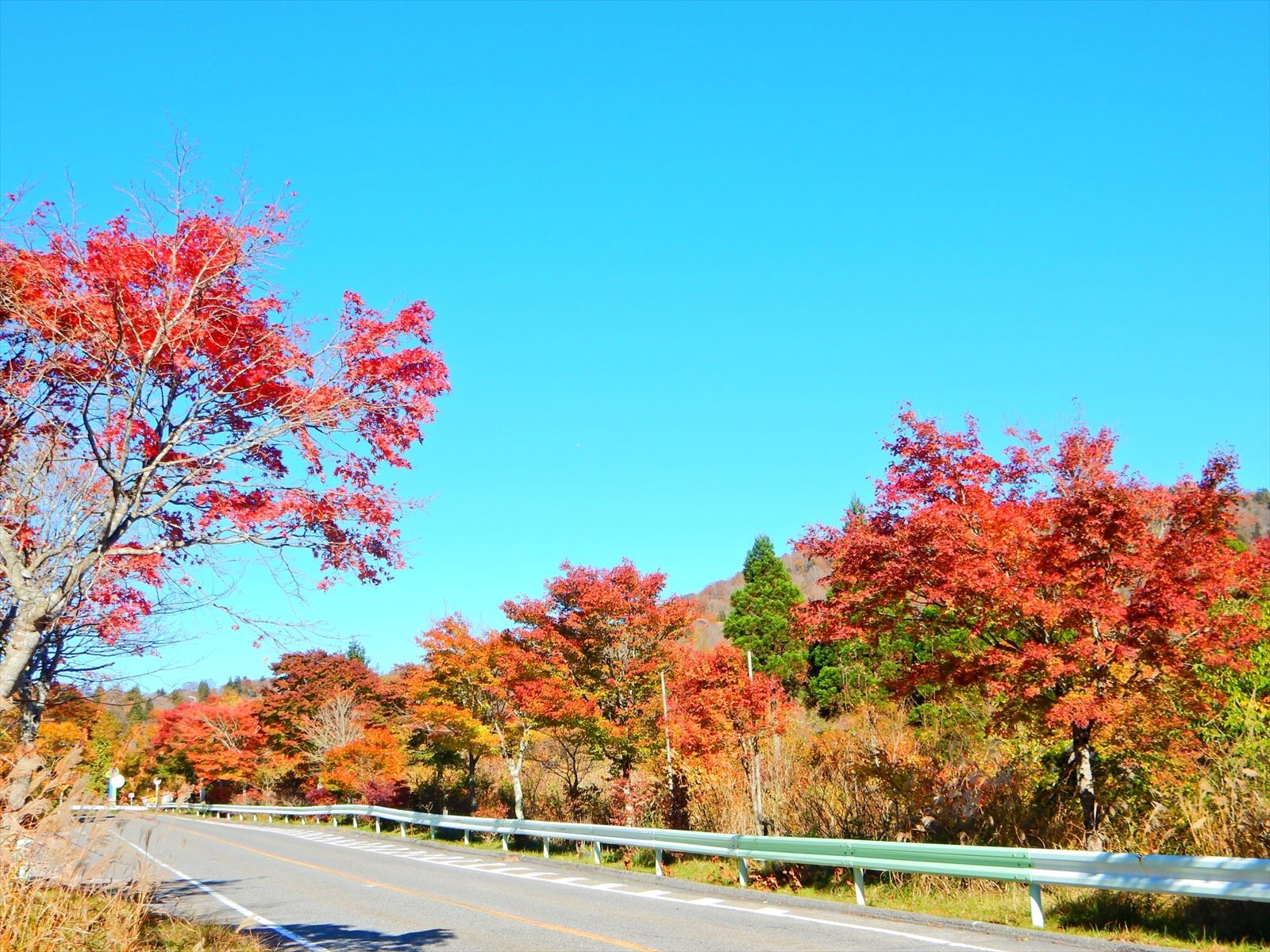 茶臼山