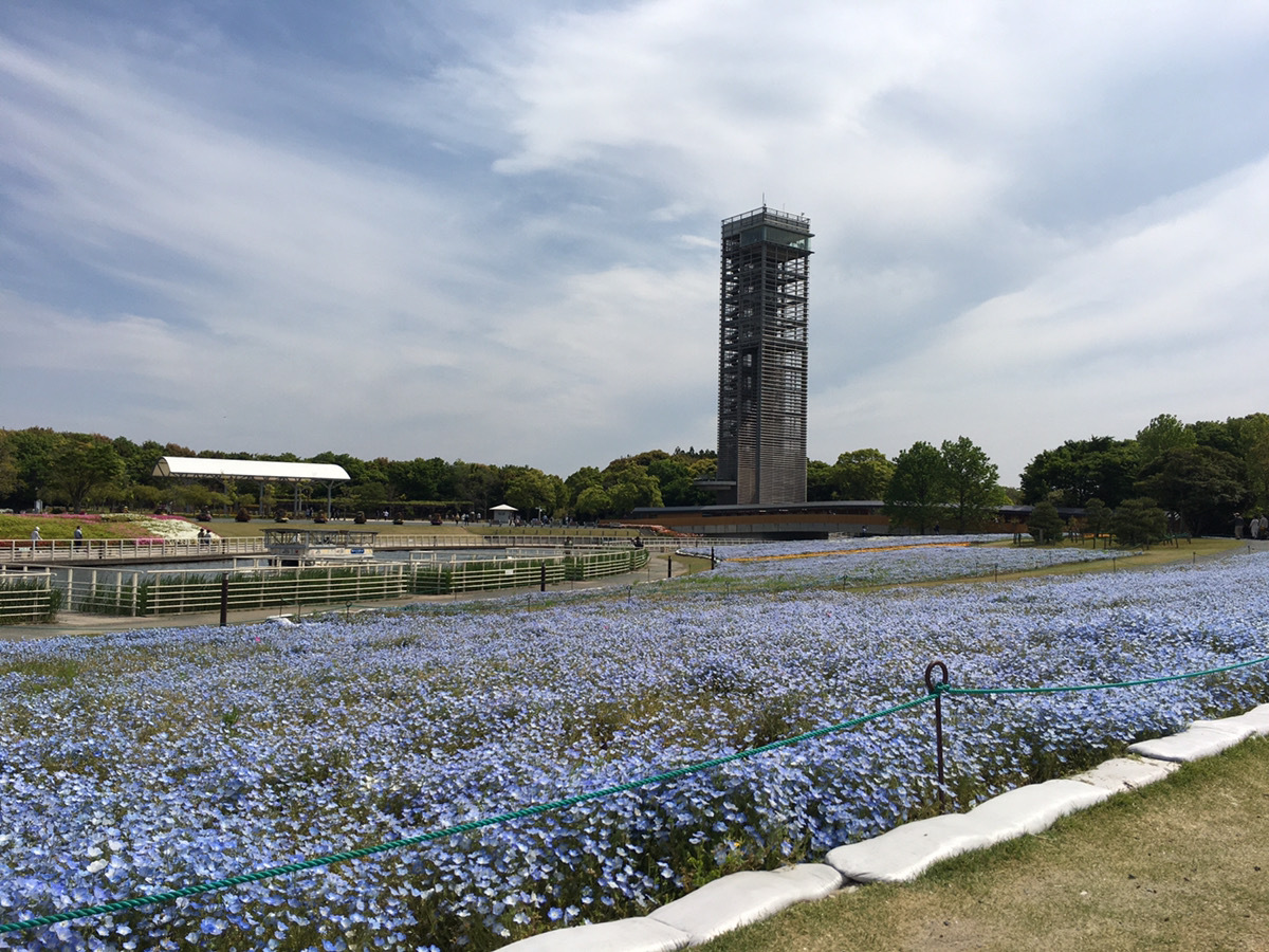 展望塔と