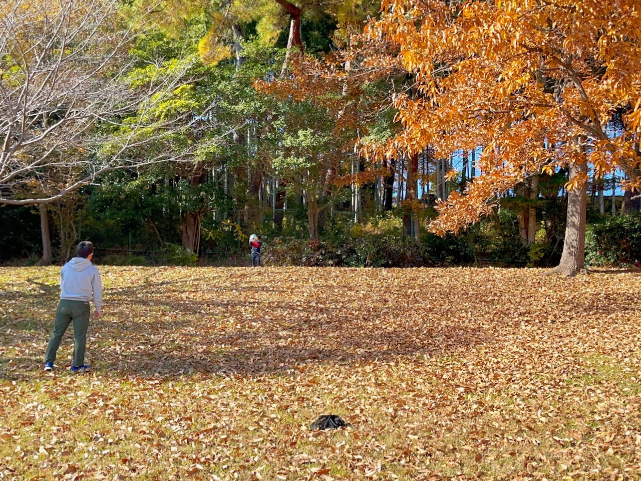 広場