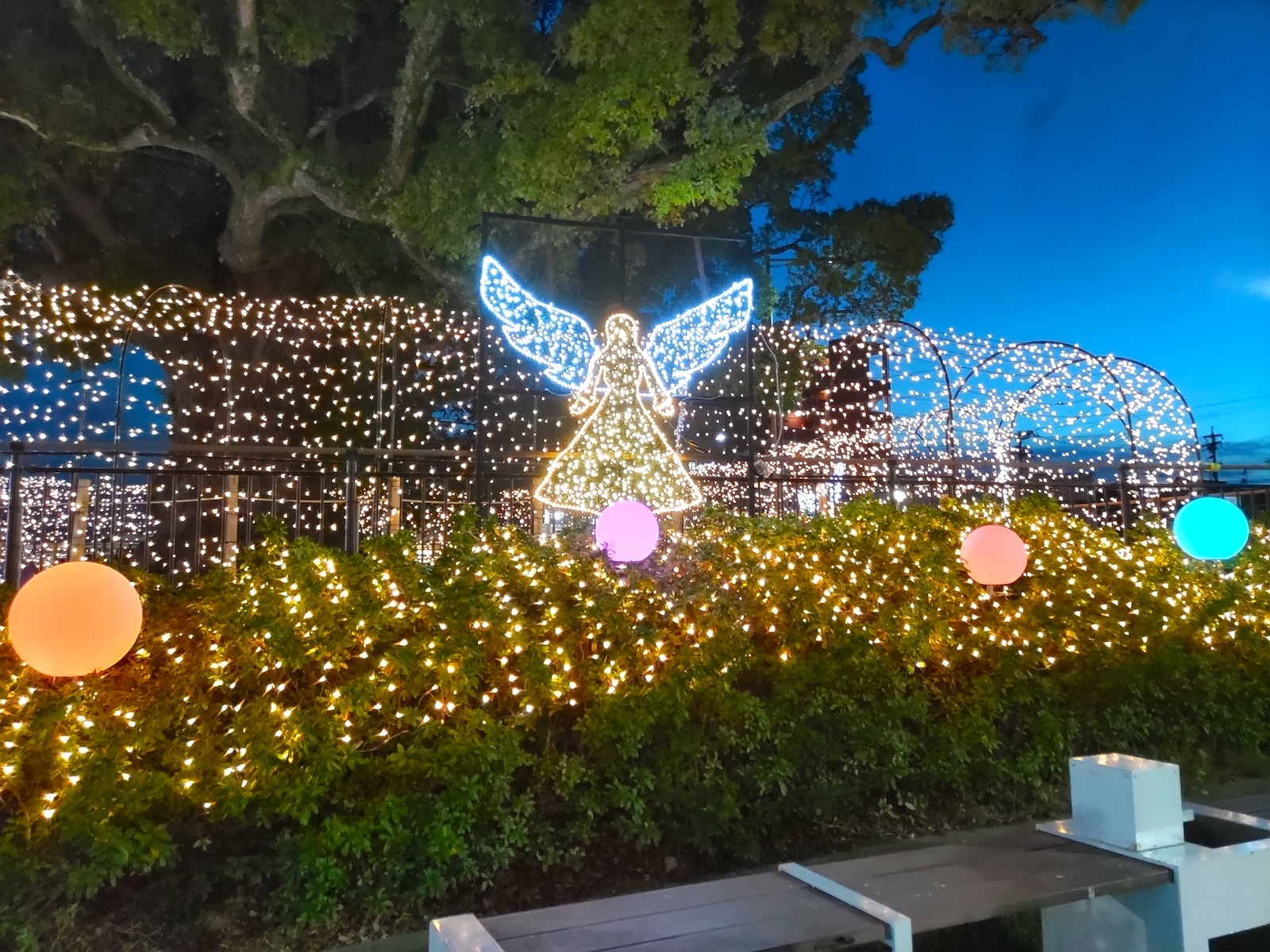 植栽のイルミネーション