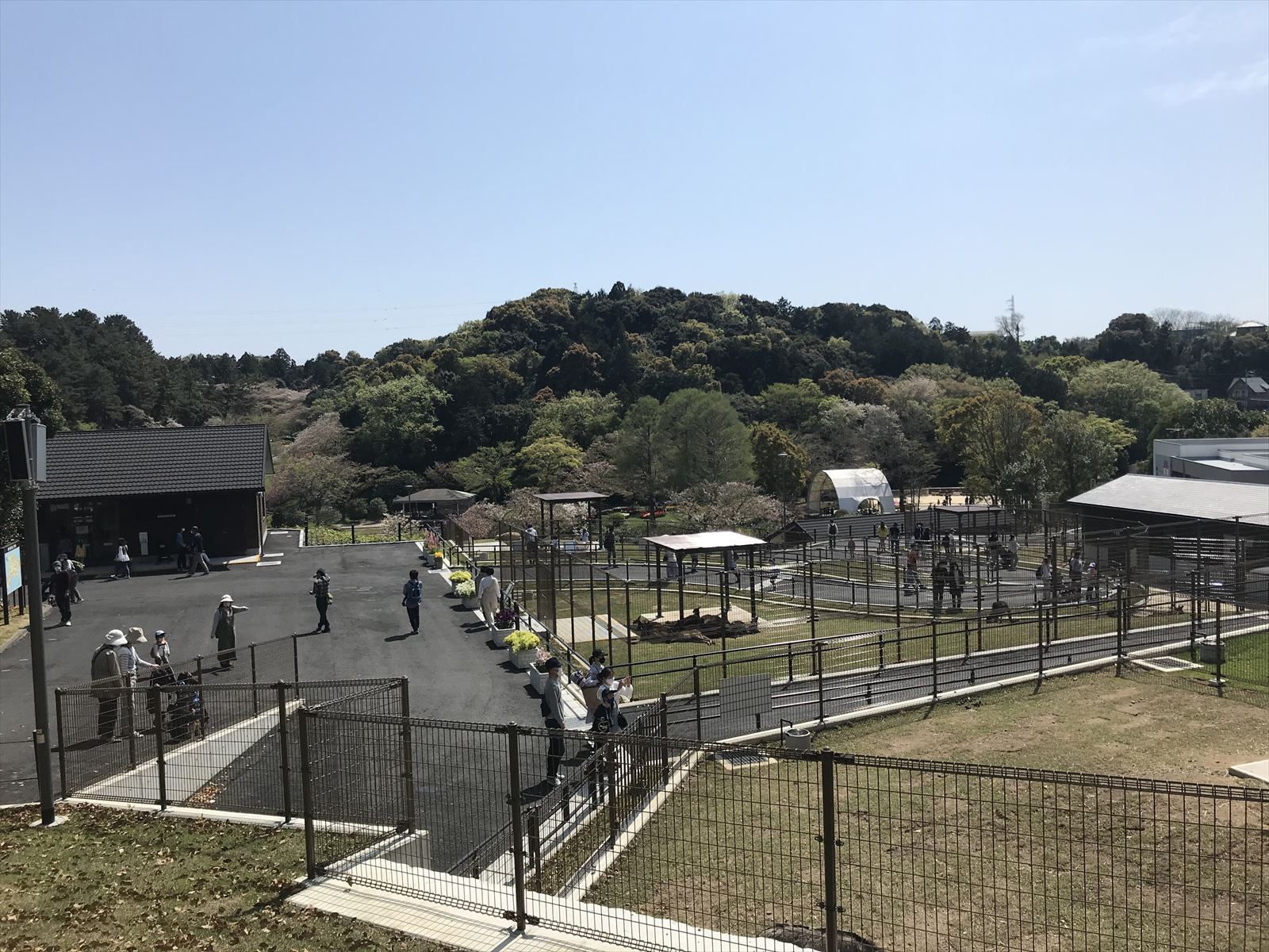 浜松市動物園