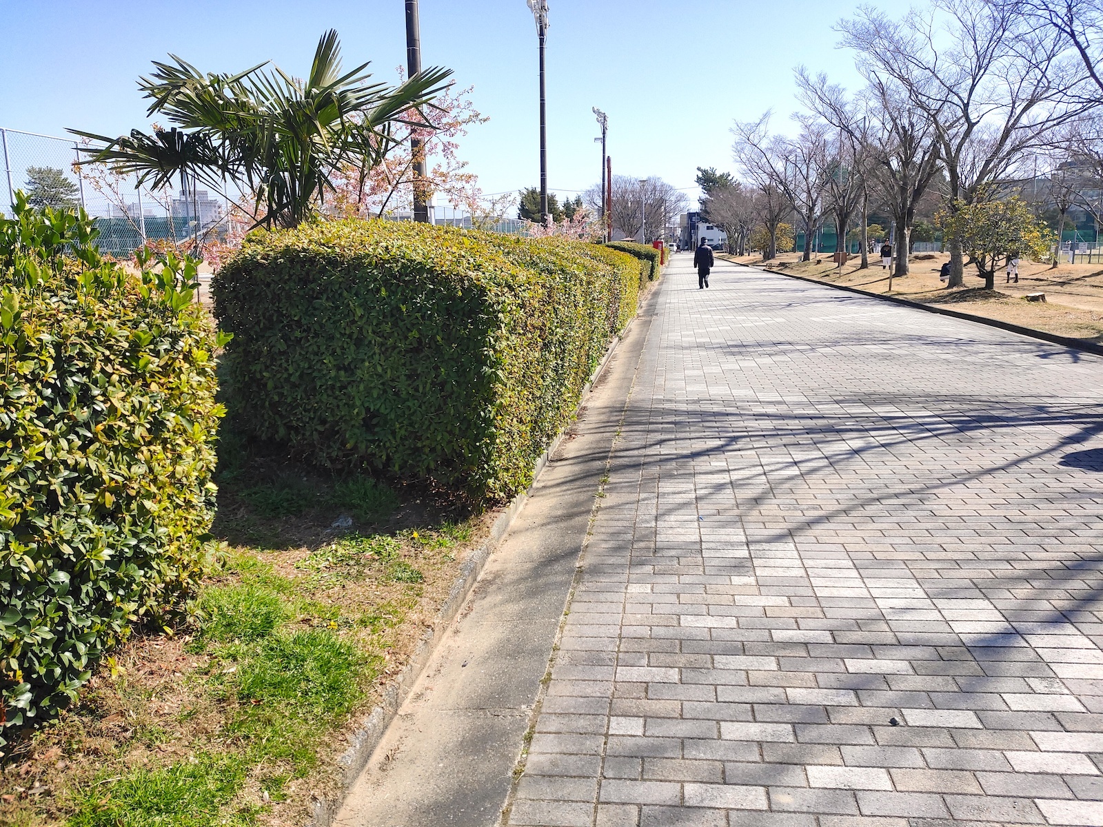 遊歩道