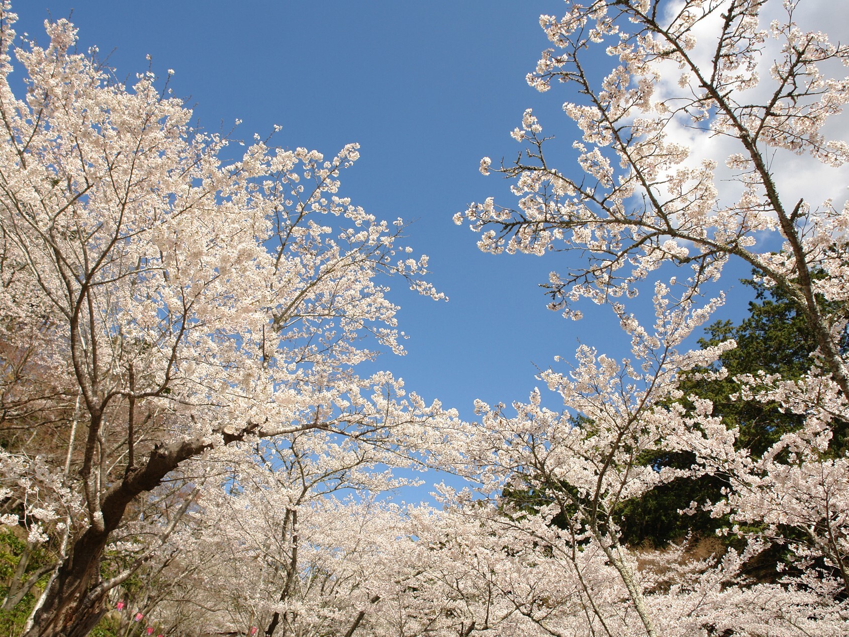 法多山尊永寺