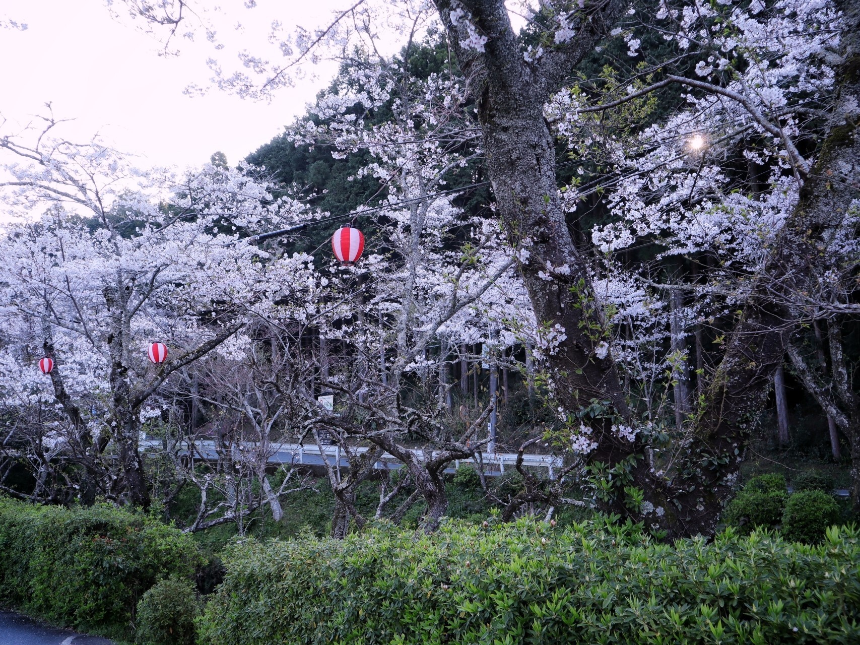 小國神社