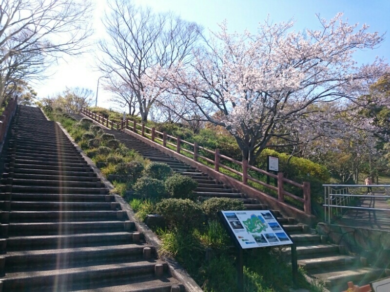 清水船越堤公園