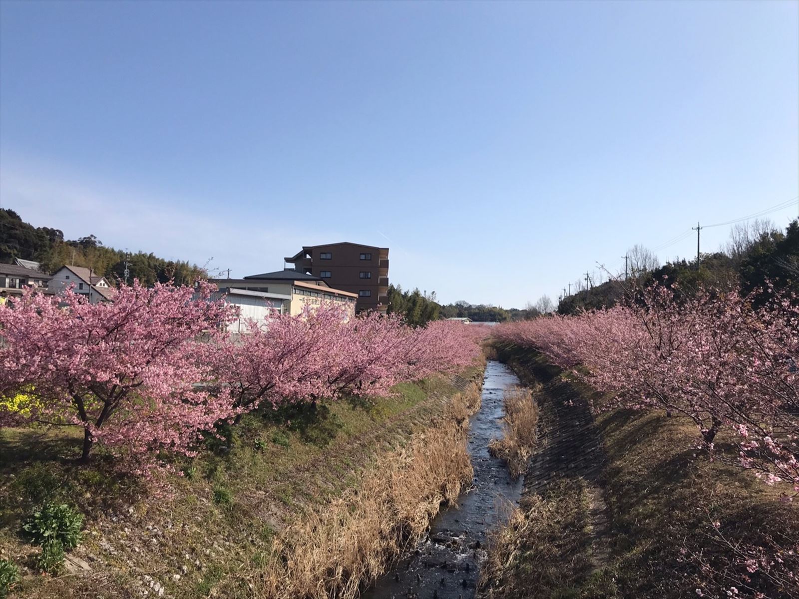 堤防沿い