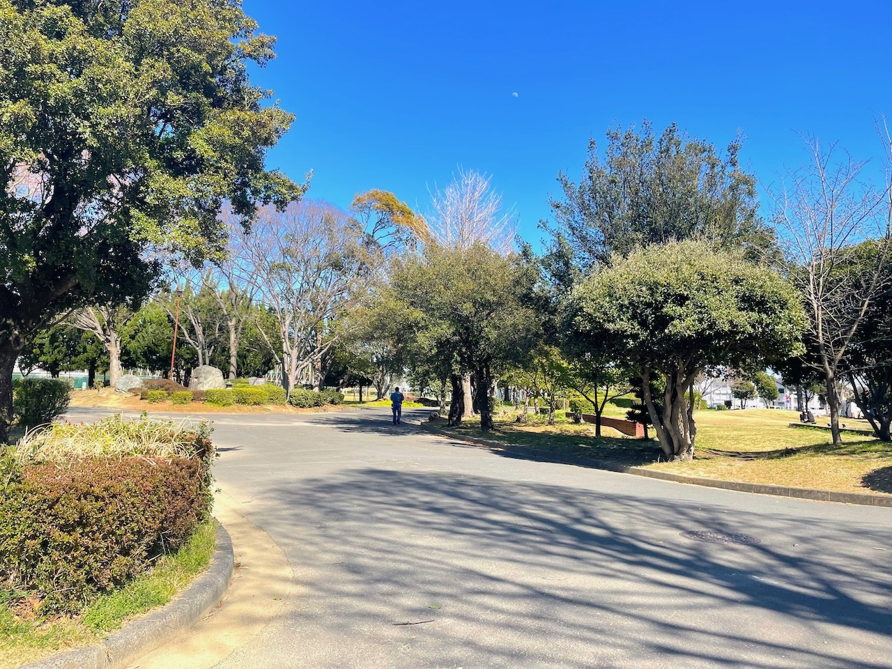 遊歩道