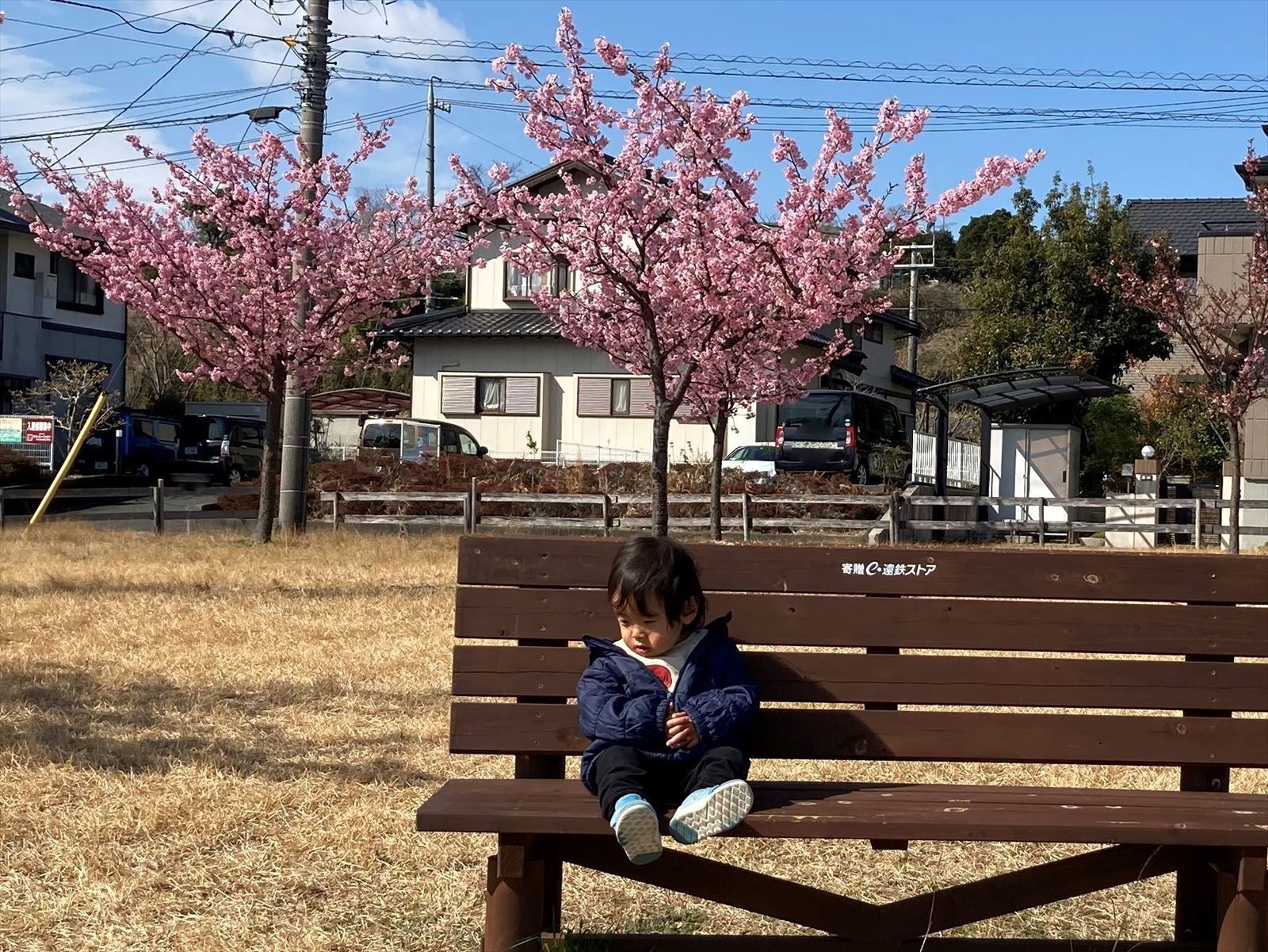 ベンチで