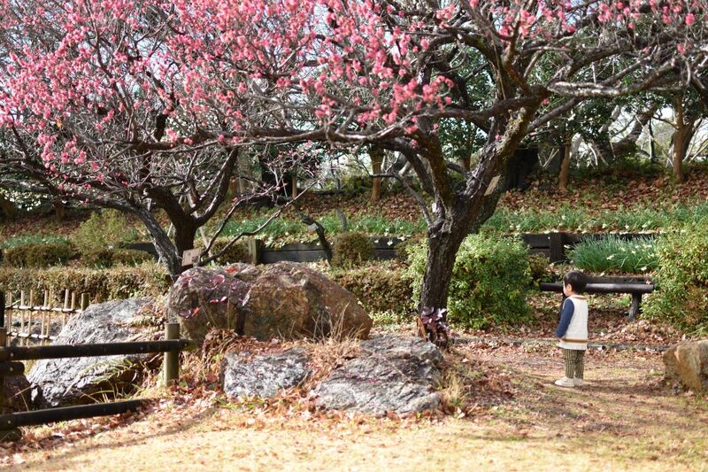 冬のお散歩【浜松市緑化推進センターみどり～な】