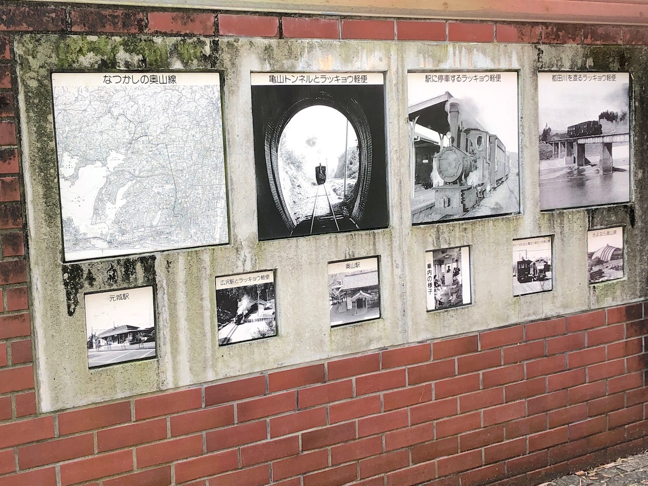 展示