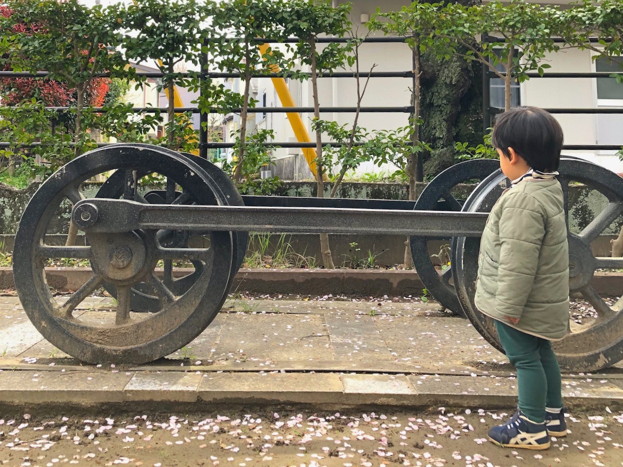 車輪