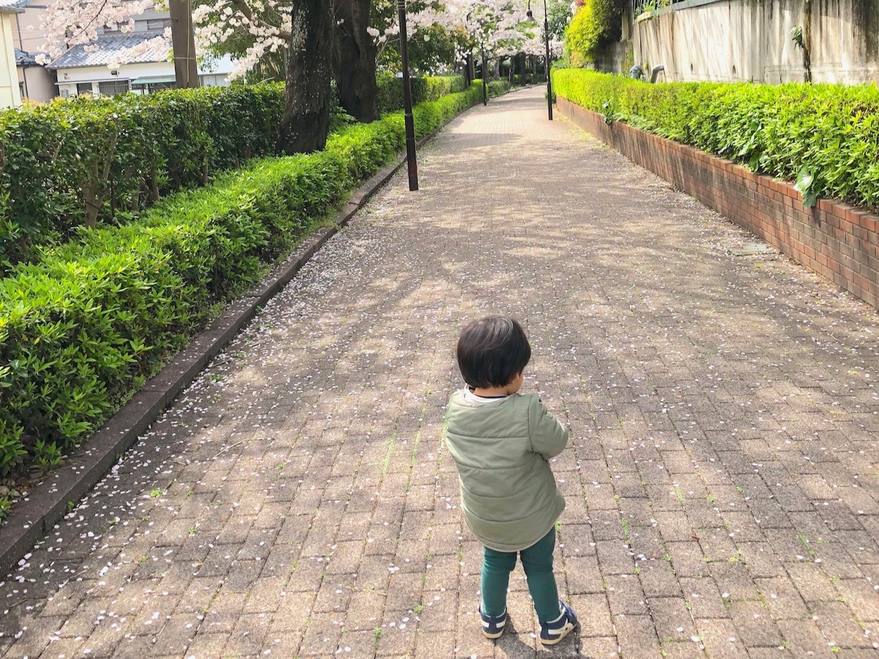 遊歩道