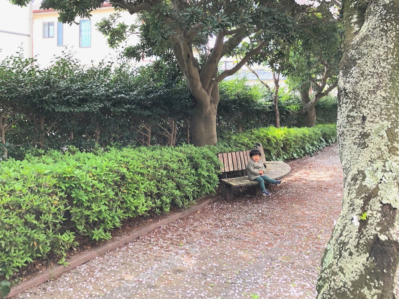 ベンチ