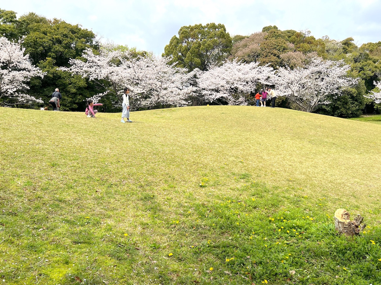 芝生広場