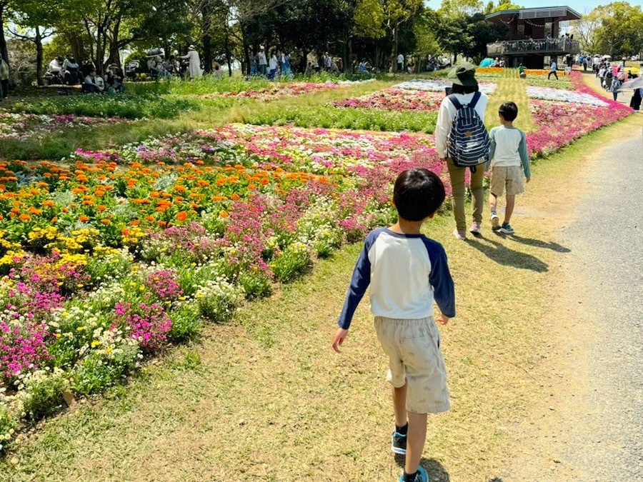 花畑