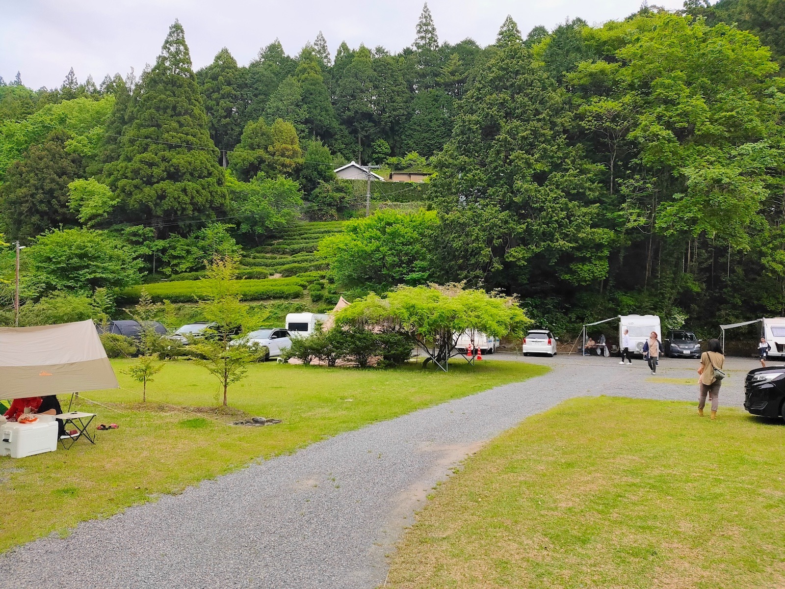 全景