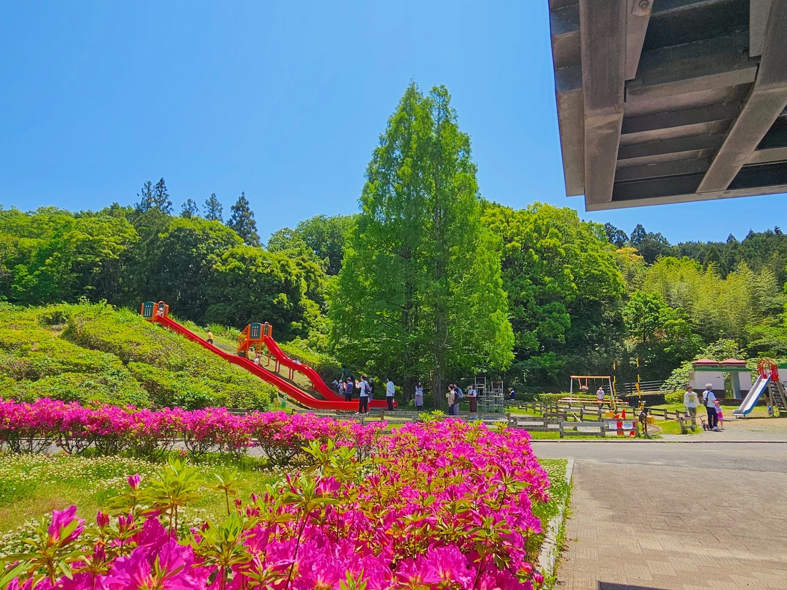 全景