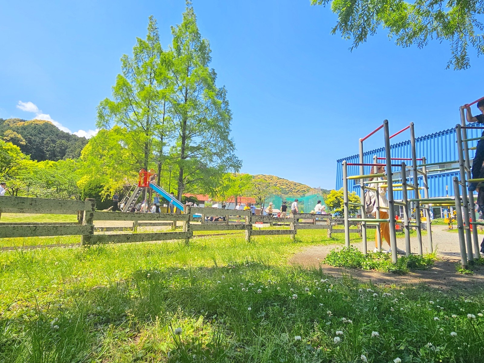 公園