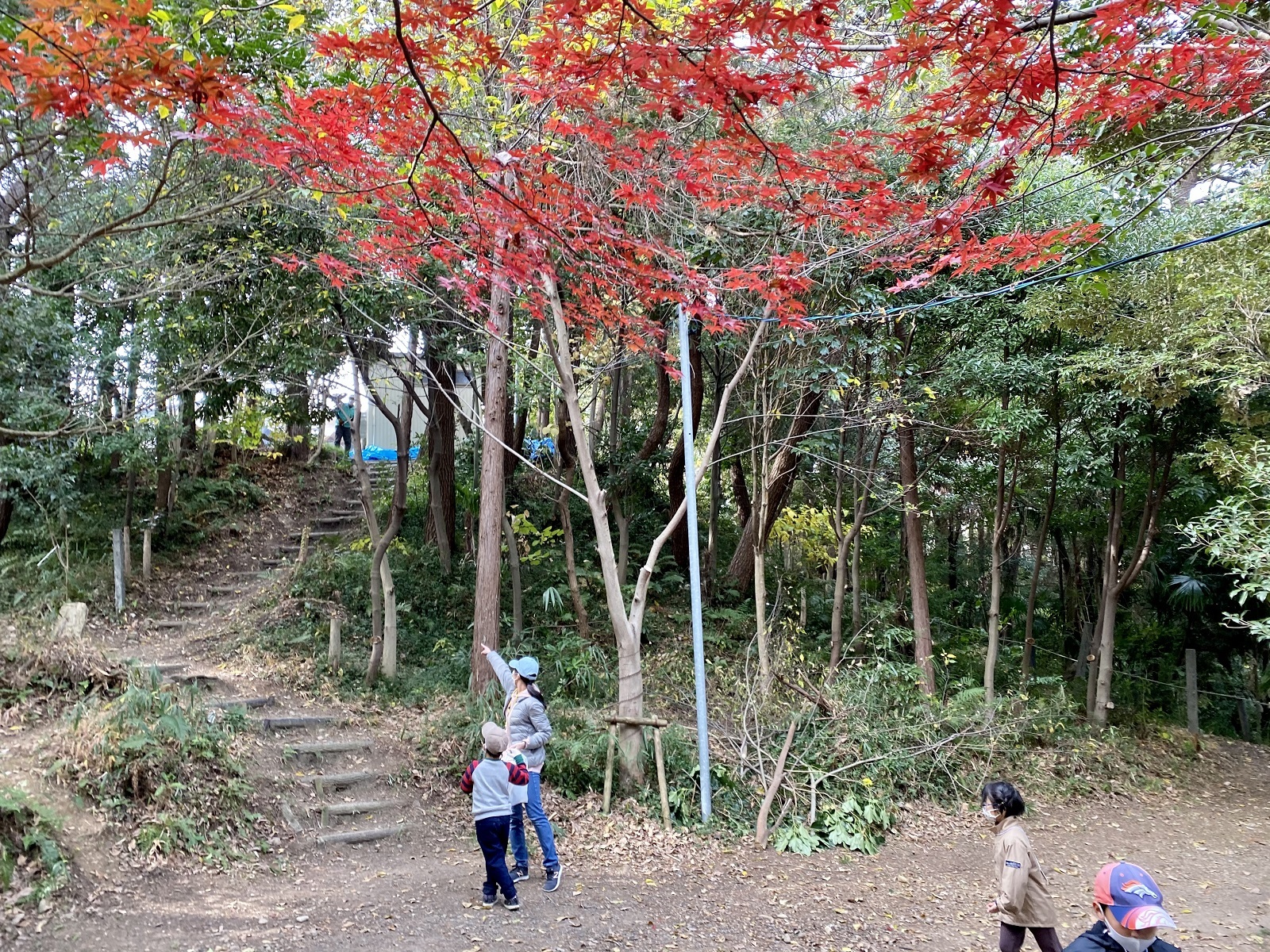 豊かな自然