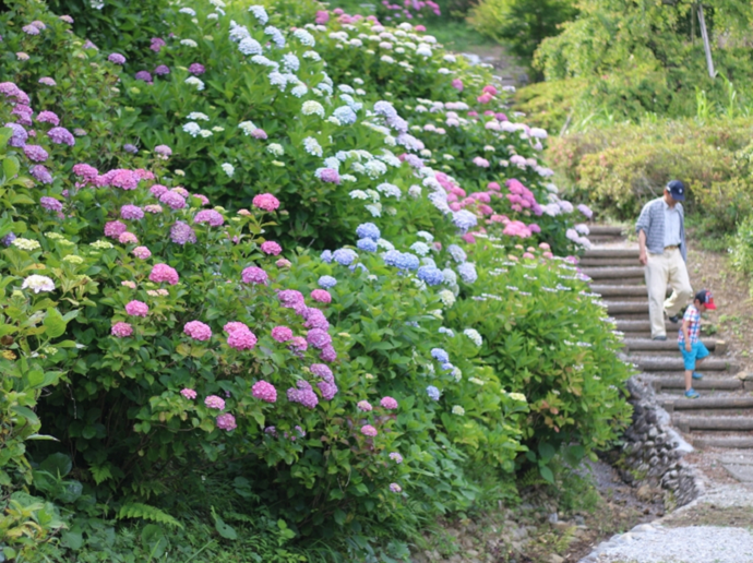 奥山高原