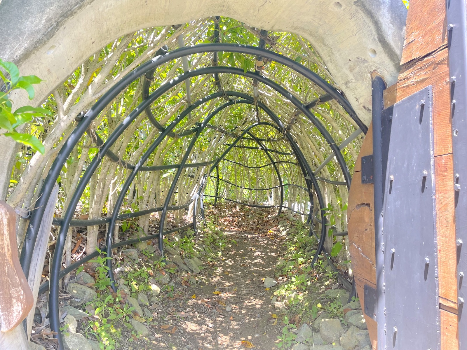 トンネル