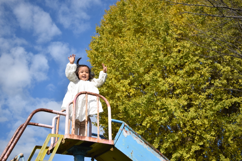 ぼくと青空と大きな銀杏【小野桜児童遊園】