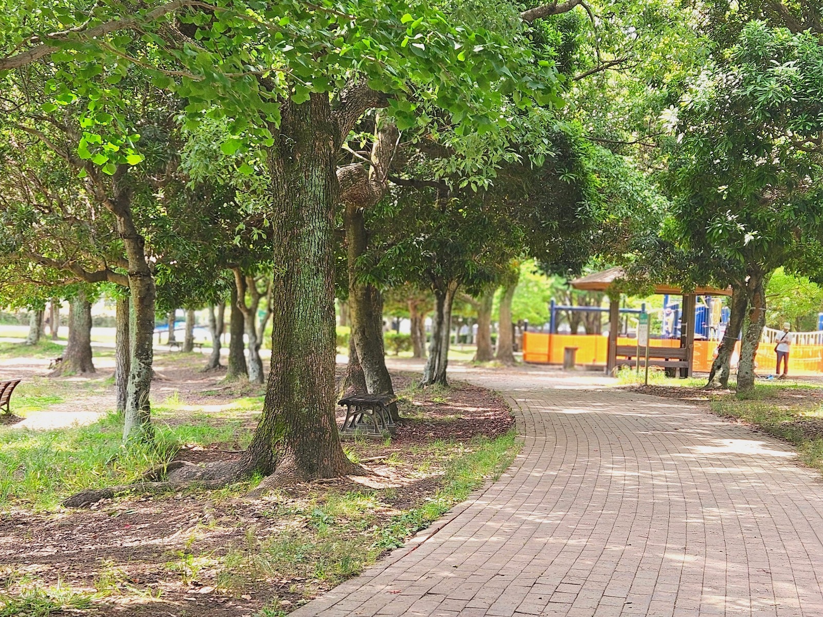 散策路