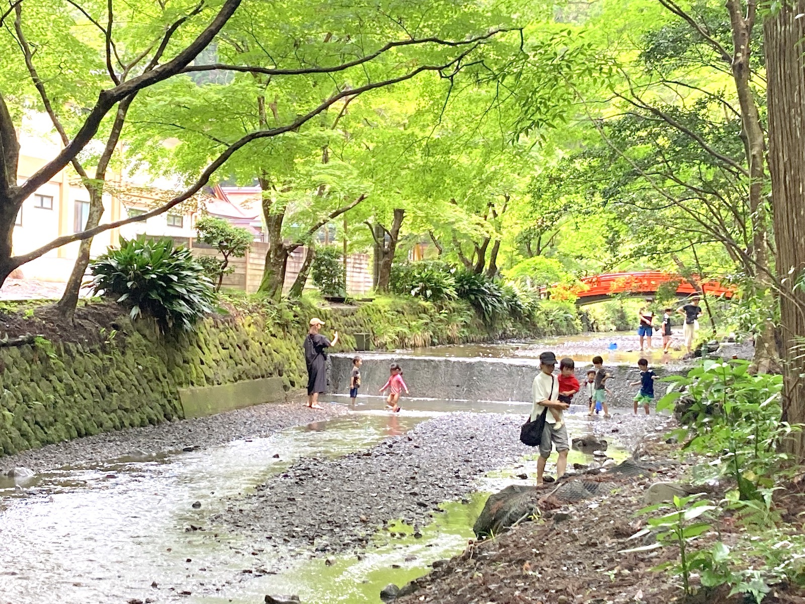 全景