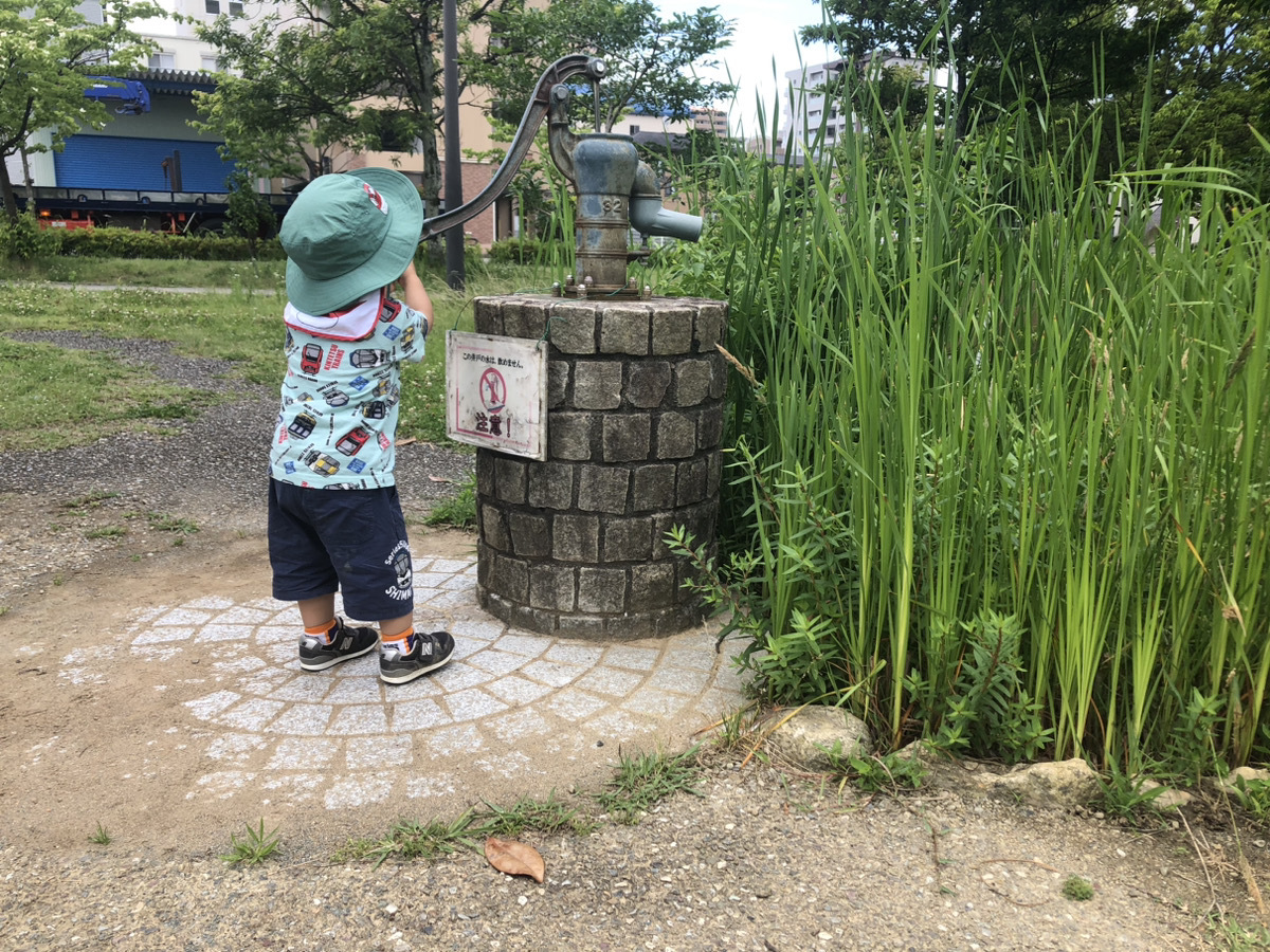 井戸