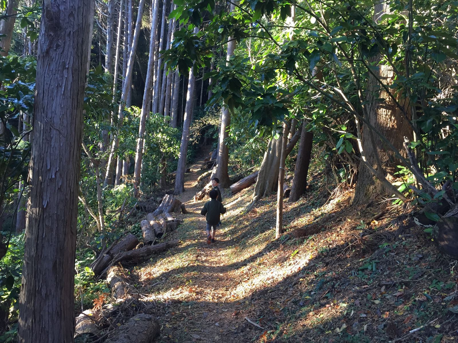 山登り