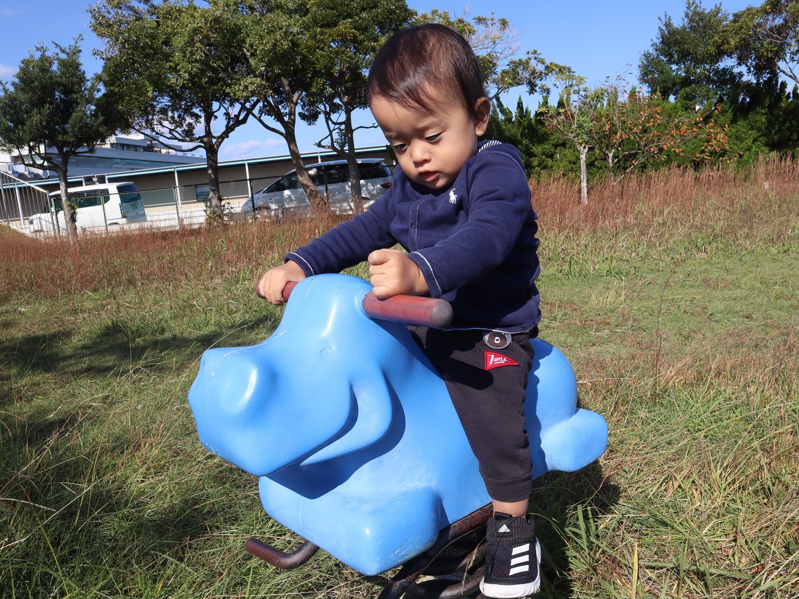 動物型の遊具