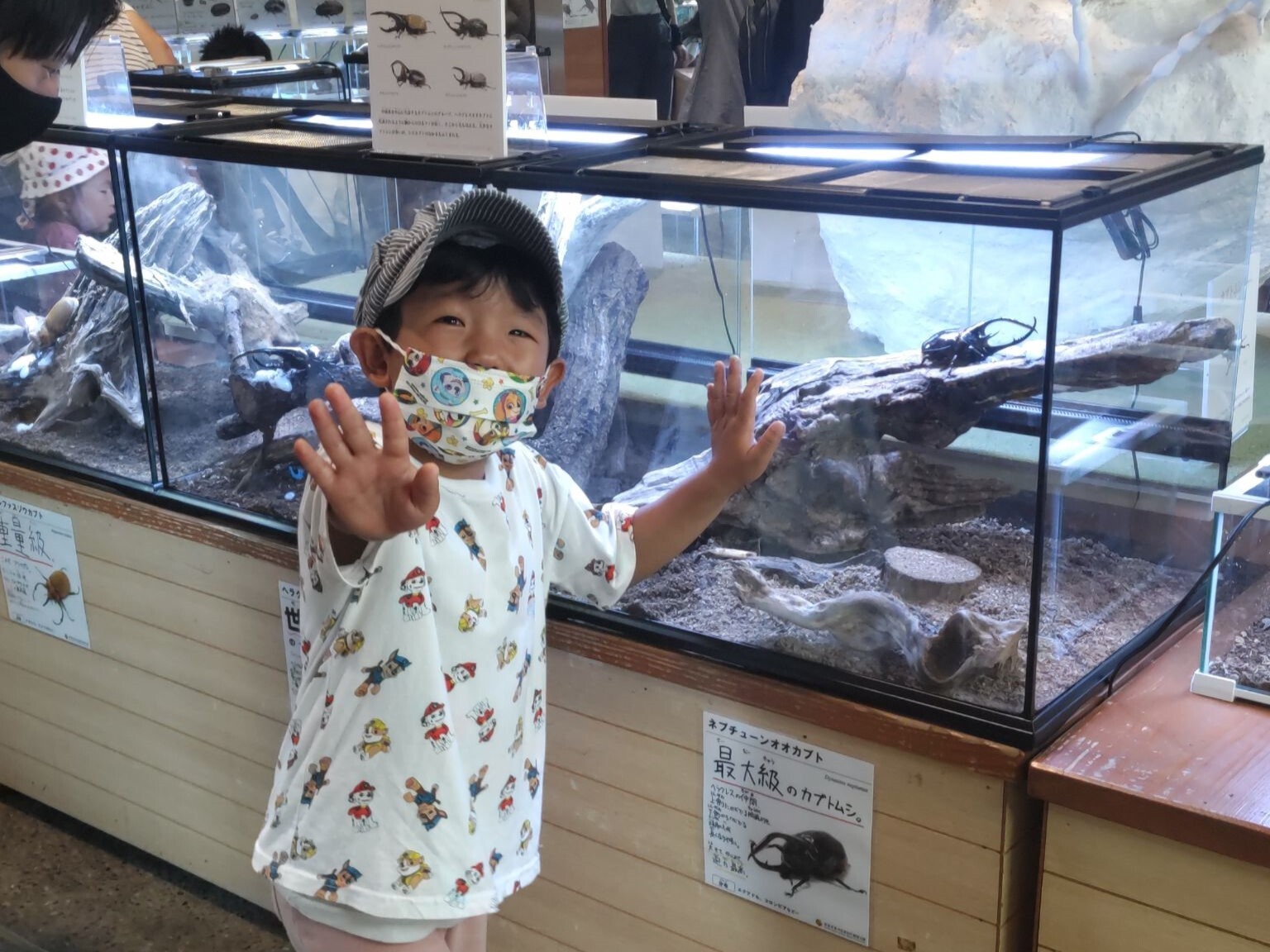こんちゅう館
