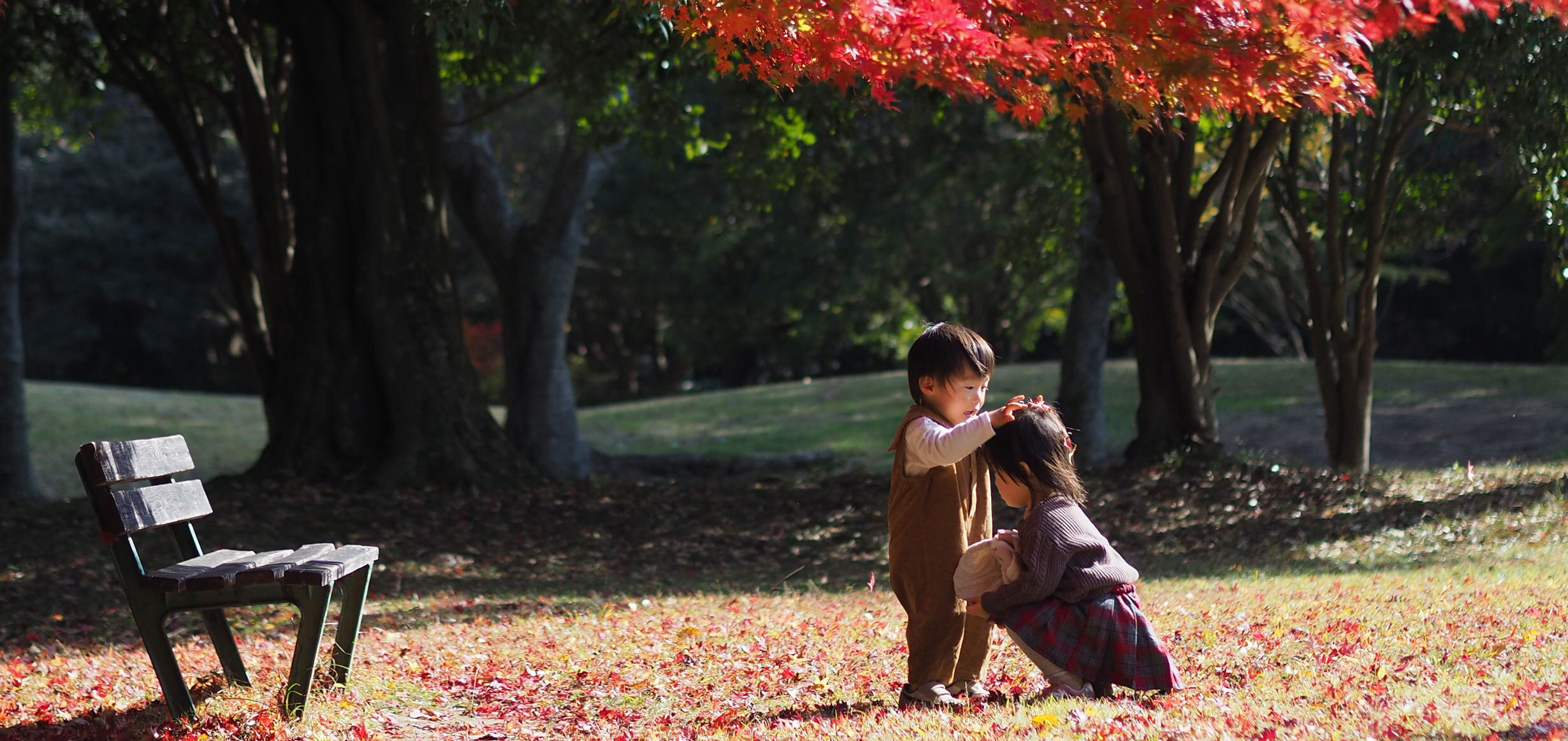 #子どもの記憶に残したい浜松の風景 佐鳴湖公園