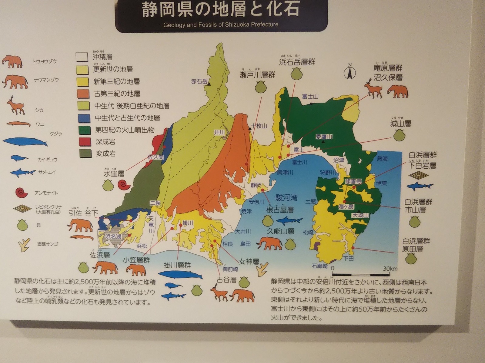 静岡県の紹介