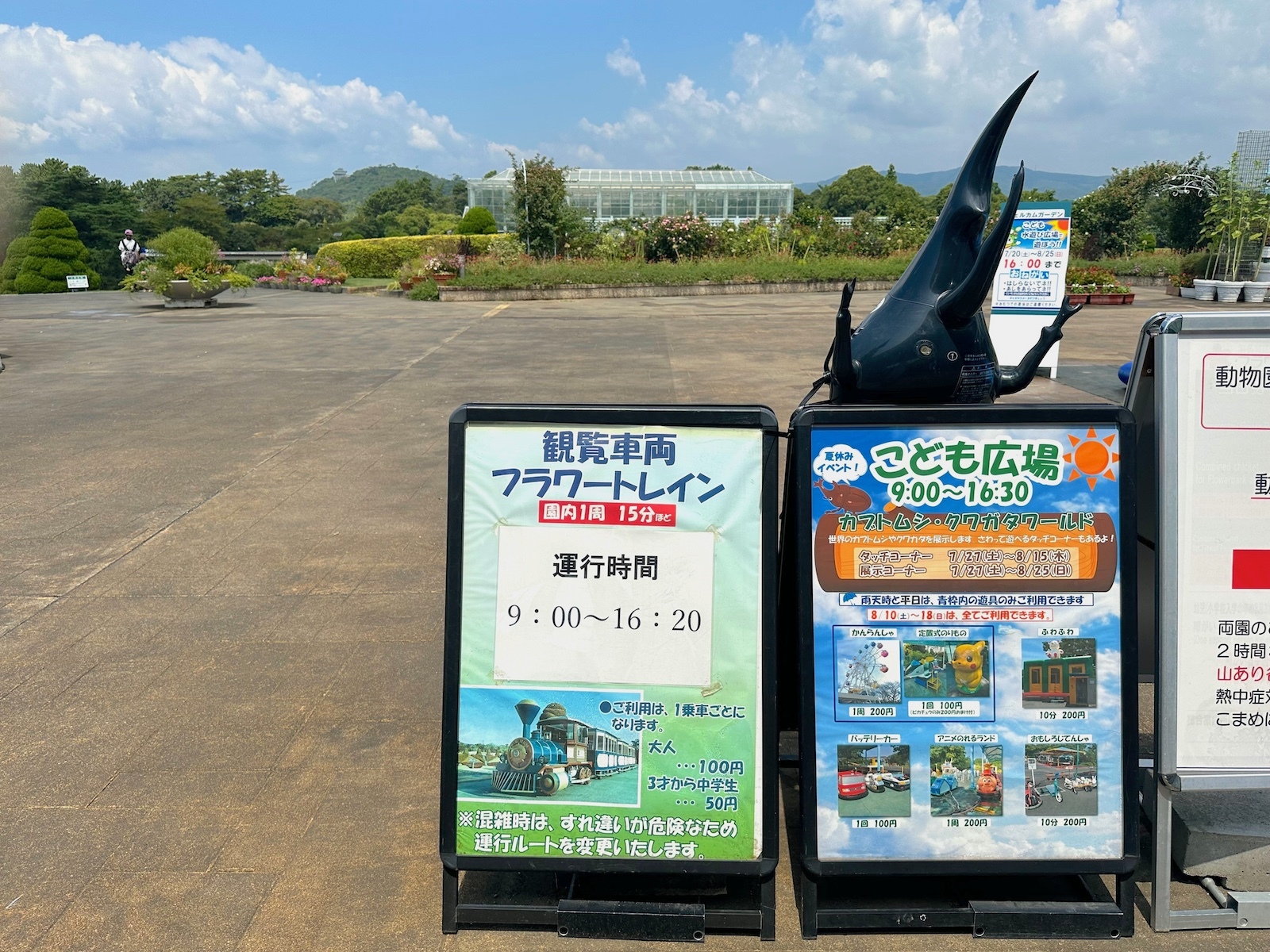 カブトムシ