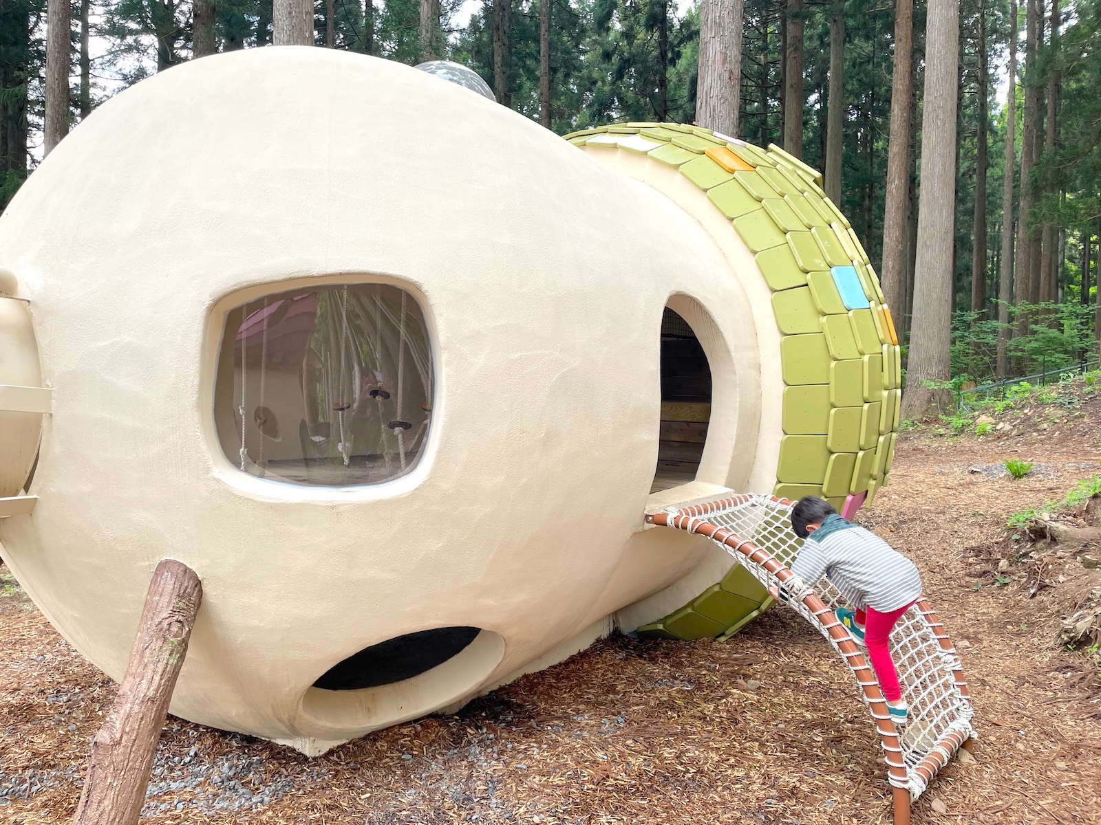 きのこ